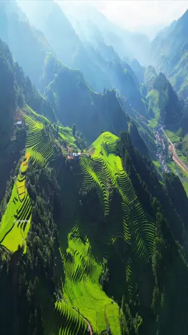 Sáng sớm mờ sương, Mù Cang Chải quê ta quá đẹp #giangachay #mucangchai #xuhuong #taybac #ruongbacthang #travel 
