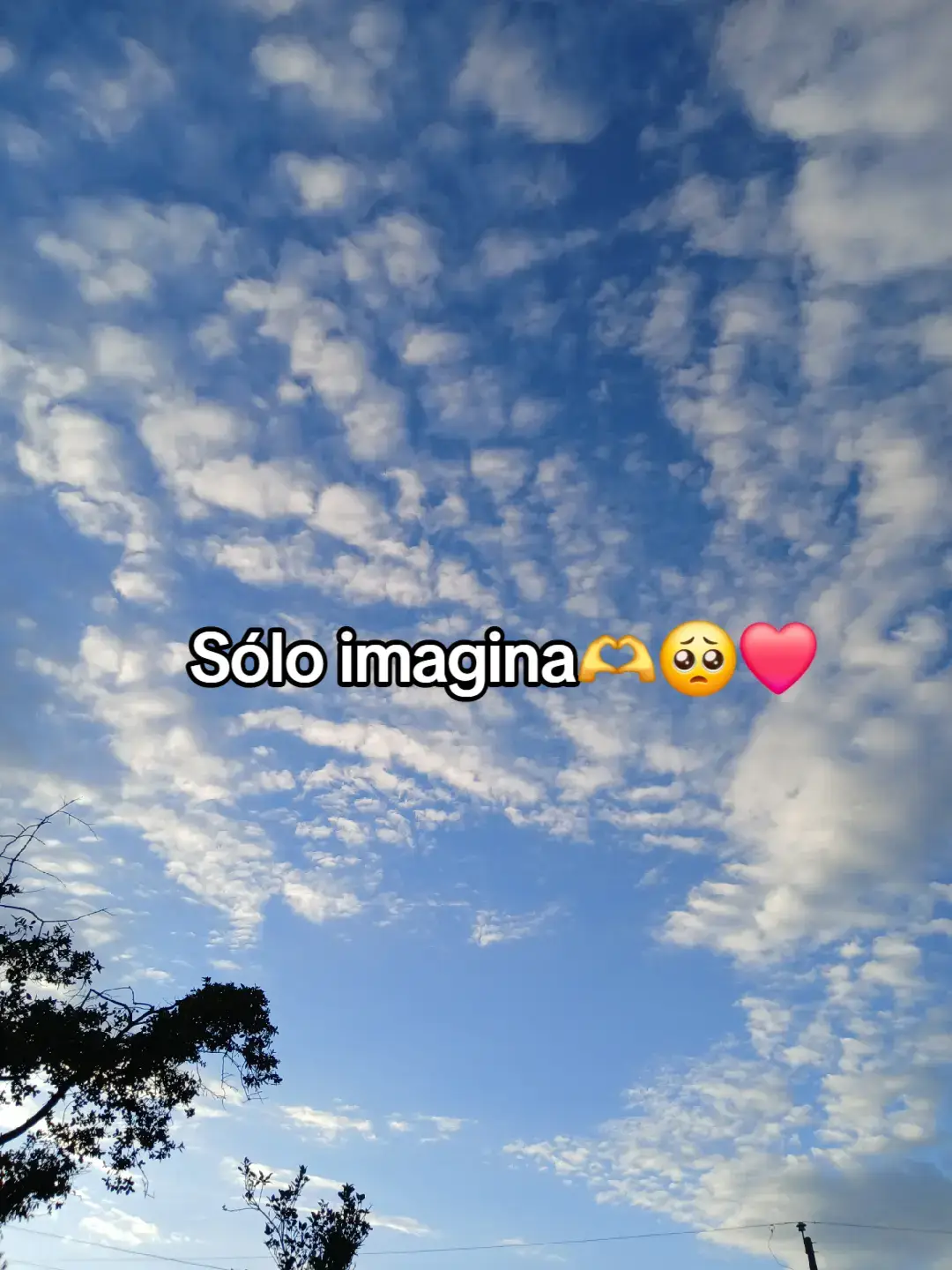 @⚡🍃💫El Mateo77⚡🍃💫  #amor #etiqueta #teamo #racha #compartanporfavor😓😰💫💘 