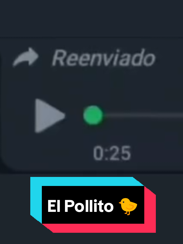 El pollito #viral #humor #fyp #alfredo_ok #parati #tiktok 