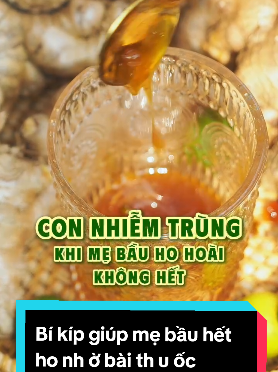 🌿MẸ BẦU HẾT HO KHAN👉HO ĐỜM 👉Đ AU RÁT HỌNG DAI DẲNG nhờ bài thu ốc dân gian Tắc Gừng Mật Ong nguyên chất🌿Sên 100% từ trái tắc tươi, gừng già giúp gin ge rol và t inh dầu tiết ra, tiêu đờm, giảm ho, thông thoáng cổ họng sau 2-3 ngày sử dụng✅Vị chua ngọt, thơm ngon, dễ uống🌿 #lacyen #lacyenfoods #tacgungmatong #giamho