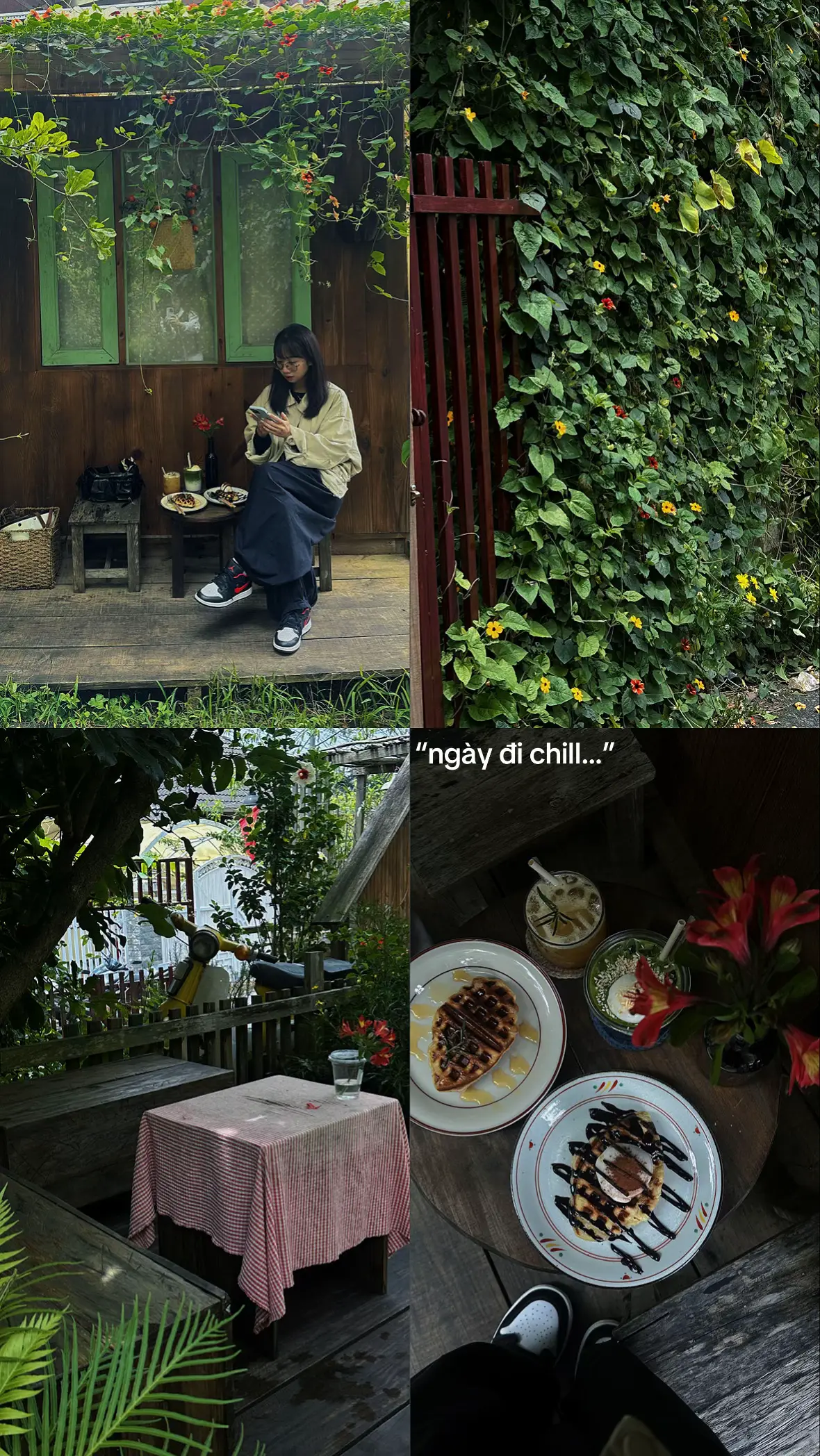 #viehongdidau #dalat #dalatchill #dalatvibes #dalatstory #dalatcoffee 