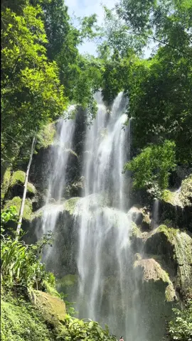 Nature’s soundtrack 🍃💦 #tumalogfalls #traveltok #oslobcebu #naturetrip 