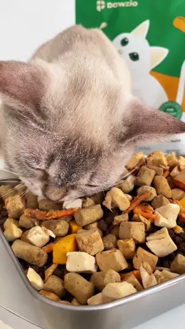 ✨ Ini dia makanan anabul yang beda dari yang lain! 🐾 Ada 8 macam isi lengkap dengan 7 jenis dried freeze premium di dalamnya 🍗🐟🦐🥚🦆 💯 Nutrisi padat, topping dagingnya melimpah, dan bikin anabul makin lahap makannya! Cuma dengan 120 ribu, anabul udah bisa dapet makanan full daging kering + kibble berkualitas! 😻 #pawziomixedfreeze #pawziocats #pawziolovers #catsoftiktok #anabulbahagia #freeze_driedcatfood #makanankucingpremium 