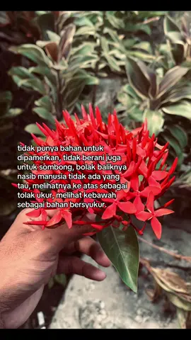 #xyzbca #fypp #4u #fouryoupage 