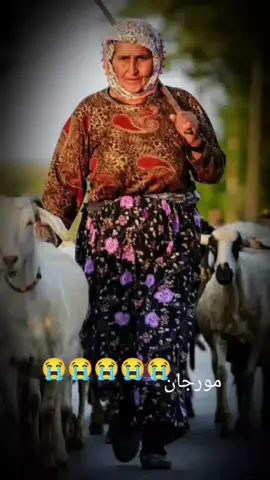 #foryoupage❤️❤️ #usaviews #room #sofa 