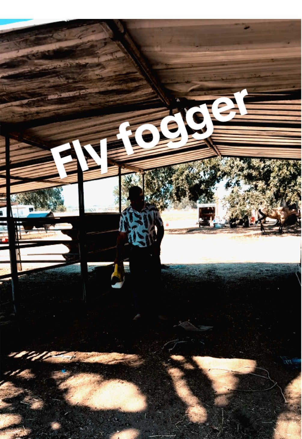 When you find out about the mosquito fogger that’s now a fly fogger for the the allys. #ryobi #horses #fyp #fypシ #cowboy 