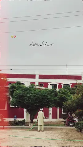 سانوں صرف بدنامیاں لبیاں !  #strollwithunknown #lines #mesumkhokharpoetry #fyp #poetry 