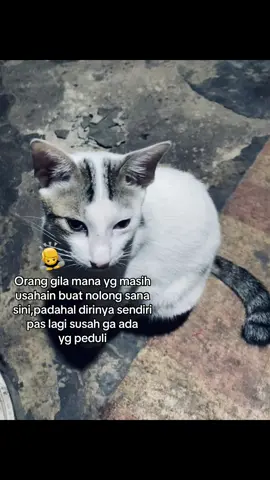 Haha🙃 #katakata #storygalau #sadvibes🥀 #masukberandafyp #fyp 