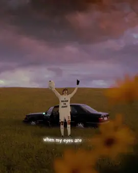 that sunflower doesn't need me anymore, because i am not the sun.. #kaka #acmilan1899🔴⚫️ #pizzaa_ #fypシ #forzamilan❤️🖤 