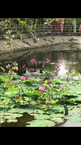 #ကောင်းမလေနဲ့နည်းနည်းကြူးမယ်။      #အိုးမိုင်ဂေါ့ဒ် #fypシ #crdစာသား #လွမ်းမိတယ်အချစ်ရယ်😔💘 @ချသ်တယ်😘💗💐 