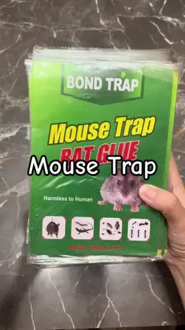 Mouse Glue Sticky Trap Board #mousetrap #rattrap #homeessentials #fyp #xybca 