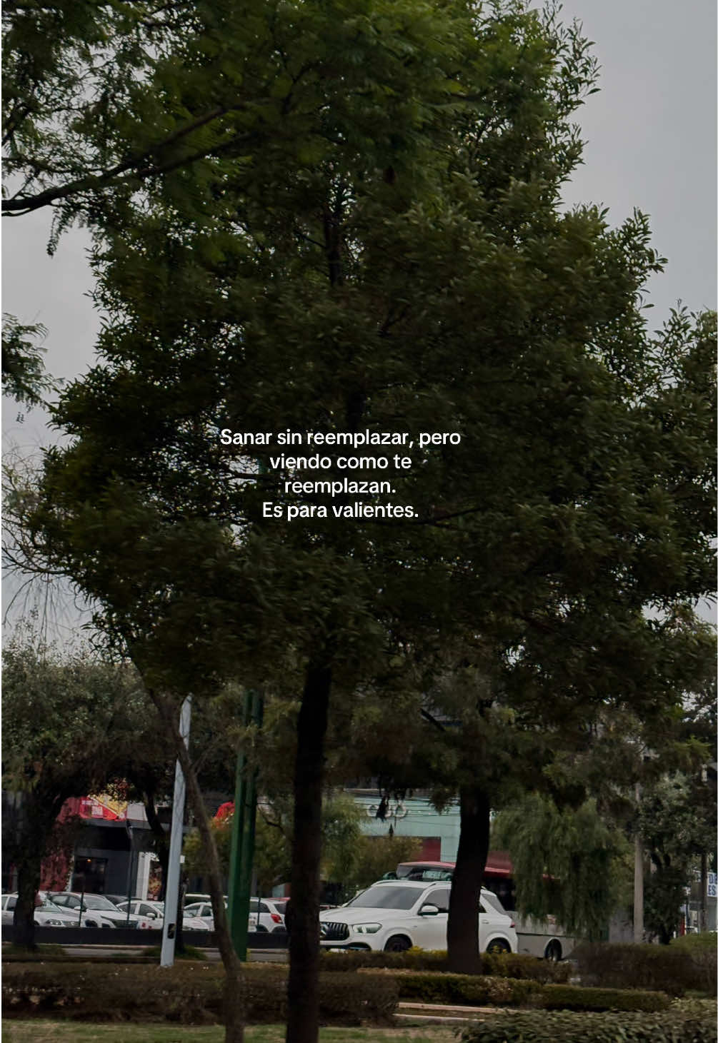 Sanar sin reemplazar, pero viendo como te reemplazan. #desamor #444 #sanar #reemplazo #corazonroto 