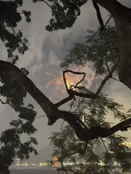 ước gì được xem cùng người ấy#hanoi #phaohoa #xuhuongtiktok #xuhuong2025 #quockhanh 