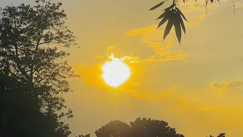 ❤️ #tiktok #furyou #প্রাকৃতিক_সুন্দর্য #প্রাকৃতিক #unfrezzmyaccount 