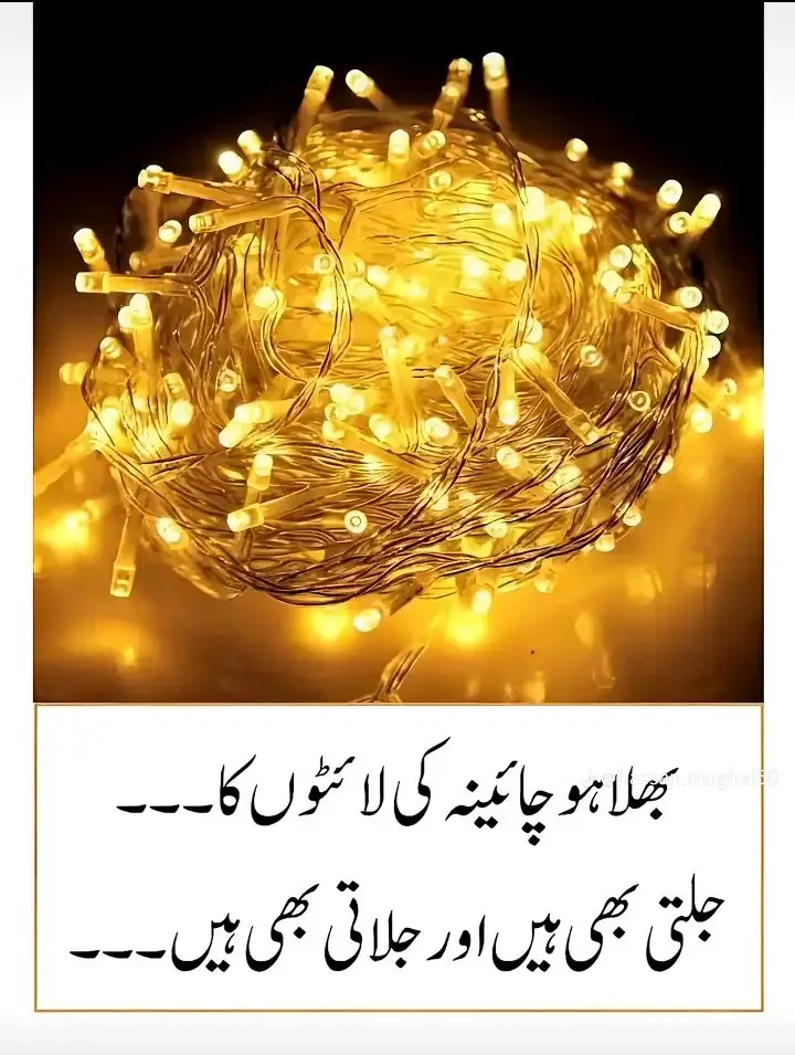 #creatorsearchinsights @dangerous boy @Mughal Zada 👑 @🌹میاں چنوں 💔دا شھزادہ 🥀 🌷 