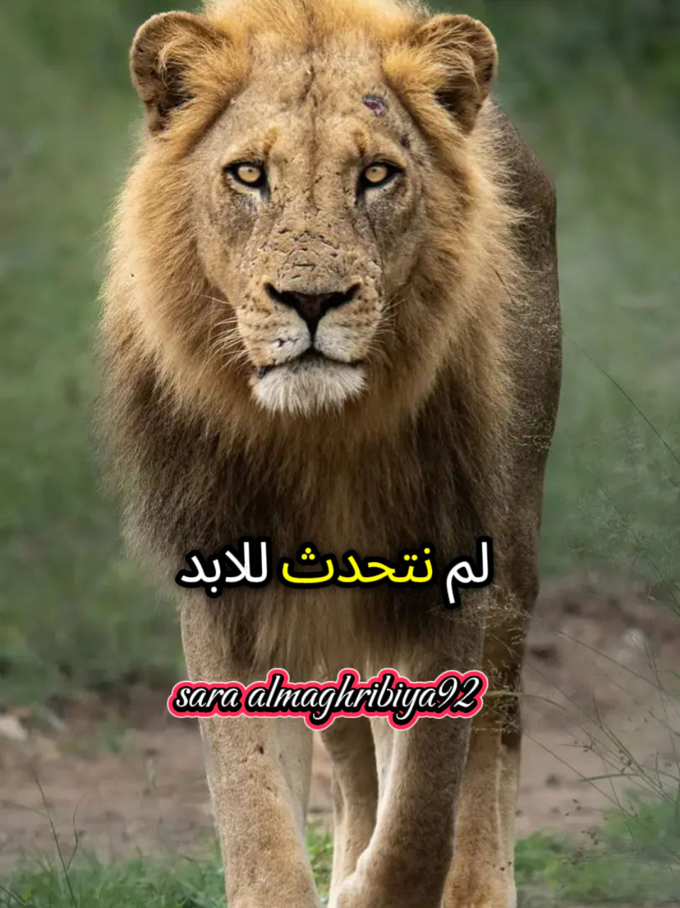 عندما أكون متأكد اني لم أخطئ في حقك #foryou #foryoupage #fyp #MyLIVEJourney #PaidPartnership #communityfest2025 #شعب_الصيني_ماله_حل😂😂 #اقتباسات_عبارات_خواطر #اقتباسات 