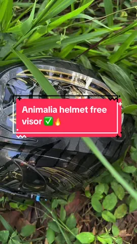 Helmet aurum dark night animalia gracshaw G919i glazzo 🔥 #fyp #gracshaw #helmet #mt15 #rider 