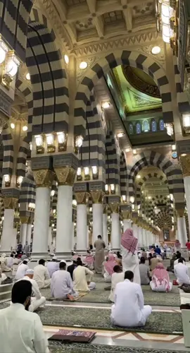 يوم السعادة يوم نورك جانا🤍 #حبيبي_يارسول_الله #قرآن #صلوا_على_رسول_الله #مديح #رسول_الله 