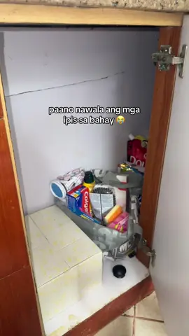 Ilalagay mo lang talaga to sa gilid or sulok ng bahay kung saan nagtatambay ang mga ipis at insecto👌 #cockroachkiller #cockroachrepellent #insectkiller #pestfree #bugfreehome