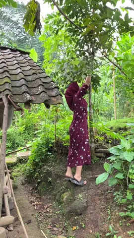bde ka orang kampung?#fyp #gadisdesa #cianjurselatan #suasanadikampung 