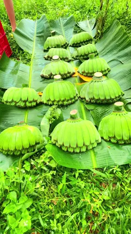 Chuối bàn tay Phật 