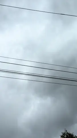 #สวนทุเรียนศิริพรรณ #สารปรับโครงสร้างดิน #สุราษฎร์ธานี 