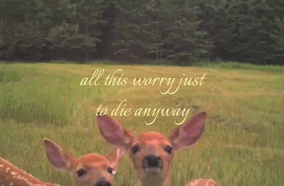 its gonna be alright #SelfCare #Love #relatable  #blowup #creatorsearchinsights 