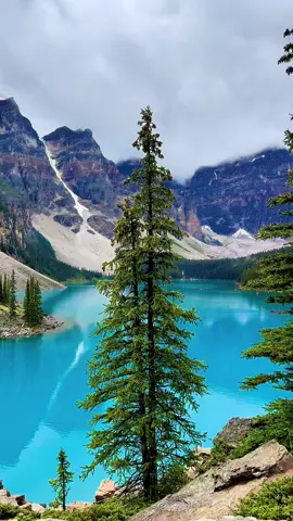 natural beauty #banff #fyp 