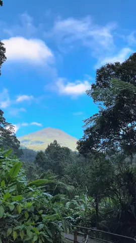 Coming soon #pangrango3019mdpl #pendakigunung #mountain #gedepangrango #fypage 