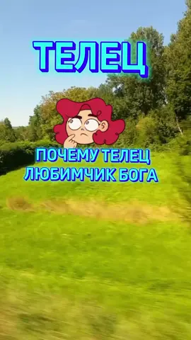 ТЕЛЕЦ  ЛЮБИМЧИК БОГА? #ТЕЛЬЦЫ #телец #астрология #гороскоп #знакизодиака 