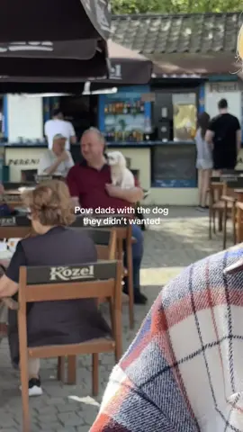 Send this to that friend who “doesn’t like” dogs 😂 #viraltiktok #dads #dogs #funny #fy