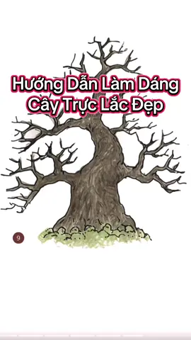 Hướng dẫn làm cây dáng trực lắc đẹp#demobonsai #caydangtruclac #caydangtruc#bonsai #caycanh 