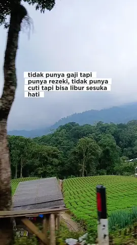 #CapCut 