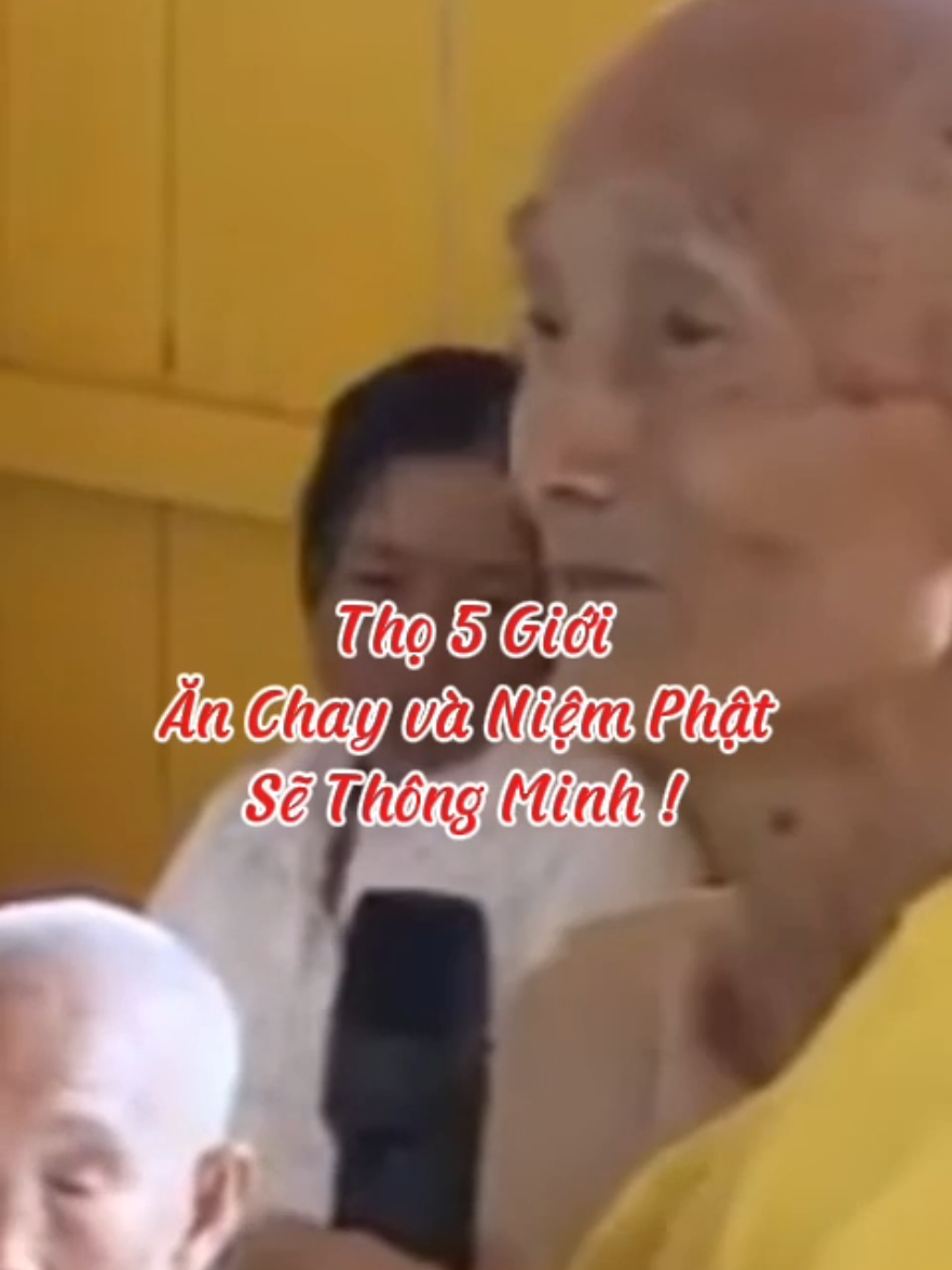 Thọ 5 giới ăn chay niệm Phật thì sẽ thông minh #loiPhatday #ThichGiacKhang #thongdiepcuocsong #nhungcaunoihay #xuhuongtiktok 