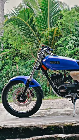 🤙🤙#rxspesial115 #rxspesial #2stroke #2strokeindonesia #rxking 