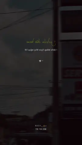 🤍 