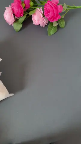 #vớ #viral 