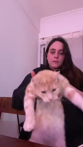 Y QUE TU DÍA SEA MUY LINDO #fyp 