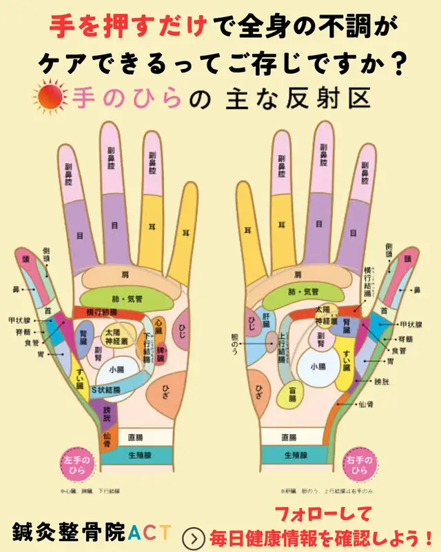 「実は、手のひらには全身とつながる“反射区”が存在します。頭痛、肩こり、胃腸の不調、疲れやすさまで…手を押すだけでセルフケアできるんです！ 毎日数分のケアで、自分の身体を労わってあげませんか？ 知っているのと知らないのとでは大違い！まずは今日から“手のひらチェック”を始めましょう🌿」 #手のツボ #ツボ #セルフケア #健康 #健康知識 
