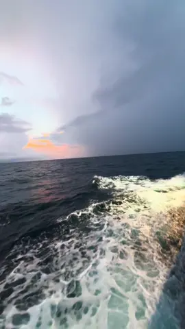 Em vẫn còn yêu anh mà phải không?