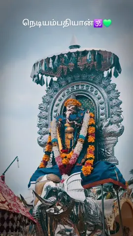நெடியம்பதியான்🕉💚 #nediyakadu #pillayar #kovil  #valvettithurai #kanapathy🙏  #🐅 