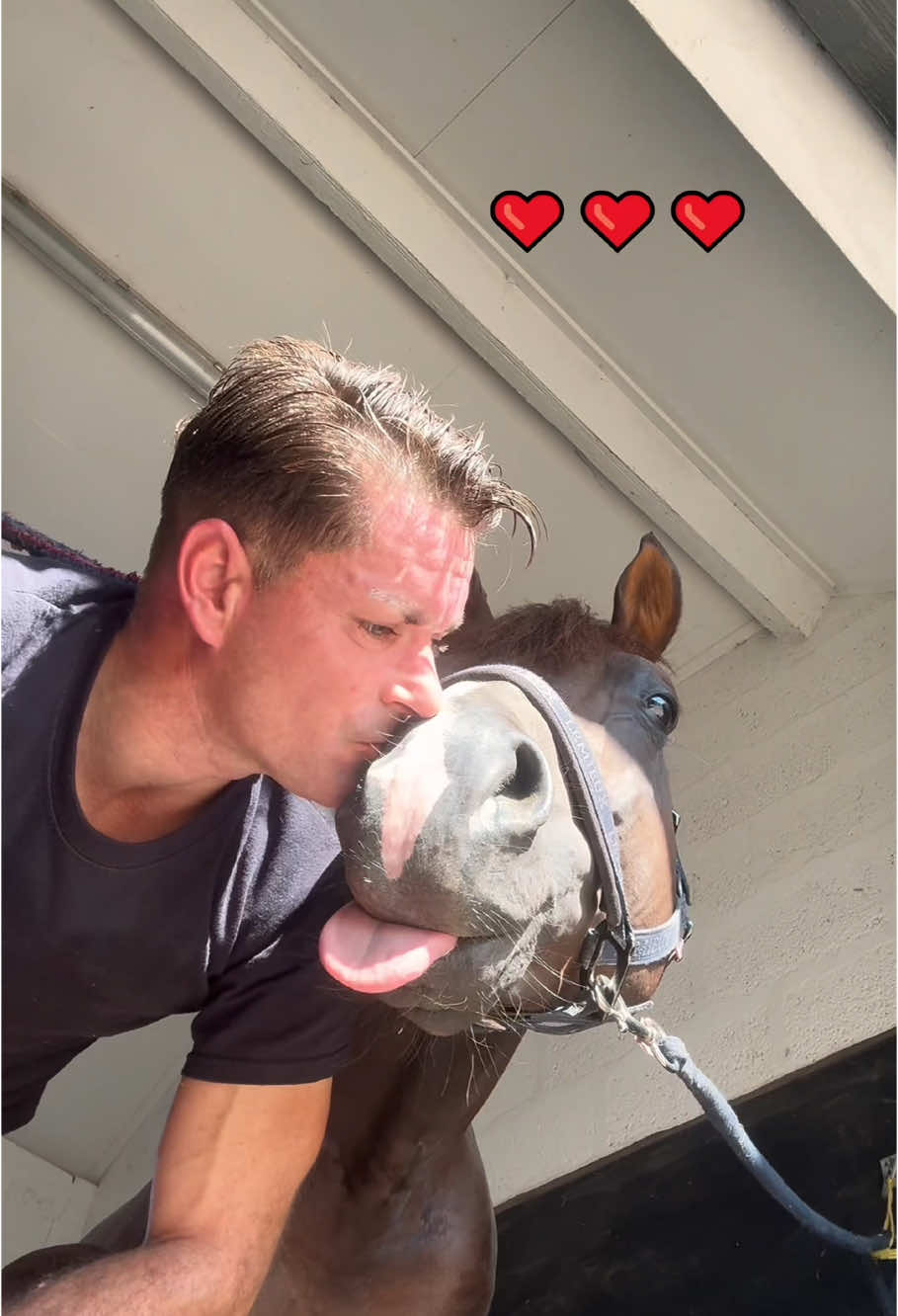 When trust is bigger than fear 🐴❤️#HorseAndHuman #HorseTok #GentleGiant #AnimalBond #Heartwarming #WholesomePets #FunnyHorse #BestFriends #ComedyTok #ForYouPage