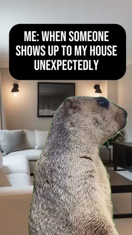 Knock Knock 😳 #house #suprise #comedy #fypシ゚viral🖤tiktok #memecut 