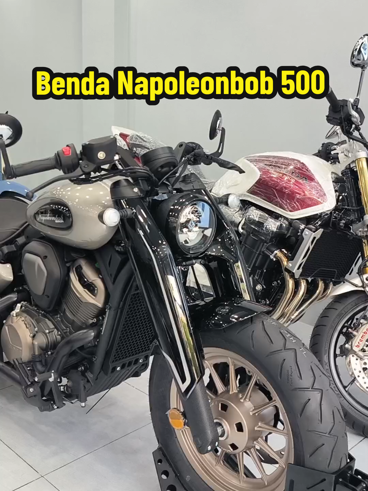 Benda Napoleonbob 500 sẵn xe giao ngay tại Cubhouse. HL&ZL : 0933.986.098 #benda#benda500#bendanapoleon500#napoleon500#cubhouse