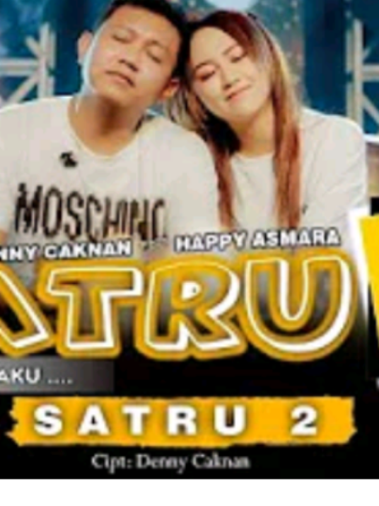 SATRU 2 || Hapoy A ft Denny C. #lagujawa #berandatiktok #jowopride #fyp #viraltiktok 