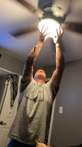 Unlucky Dog #funny #funnyvideo #funnytiktok #fyp #dogsoftiktok #funnydog #dog 