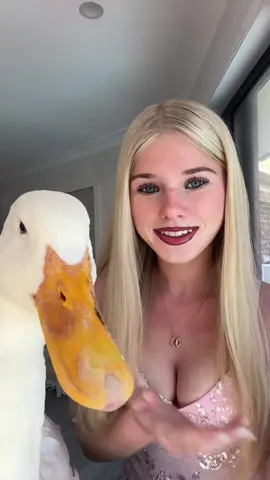 ducky #duck 