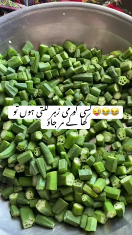 just for fun 🤩 #dailylife #viralvideostiktok #justmyfunnyvedio🤣🤣 #followm ##plzgrowmyaccount💔😥 #followm #foryoupage_foruyou_tiktok 