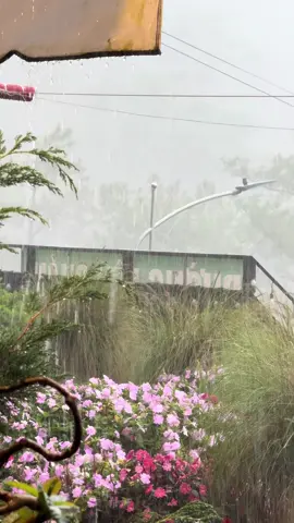 Video gốc mọi người lưu về edit nhe #ptl #photobikerdalat #deoprenn #dalat #mua 