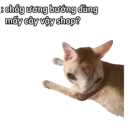Chk ương bướng dùng mấy cây v shop